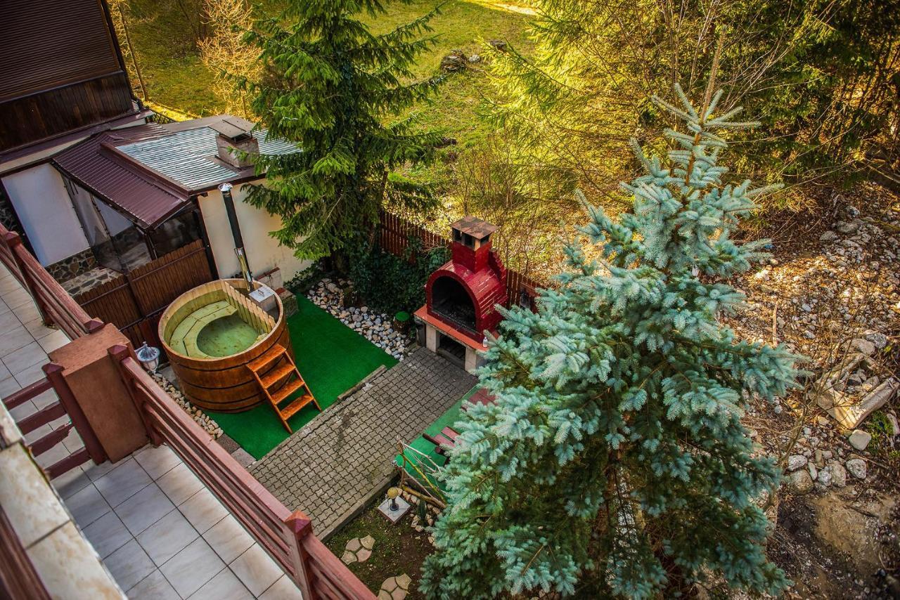 Hotel Casa Maia à Buşteni Extérieur photo