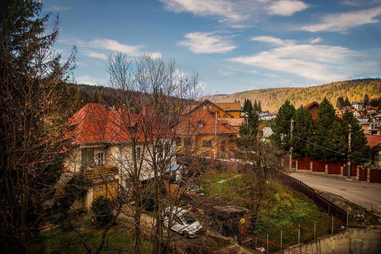 Hotel Casa Maia à Buşteni Extérieur photo
